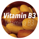 Vitamina b3