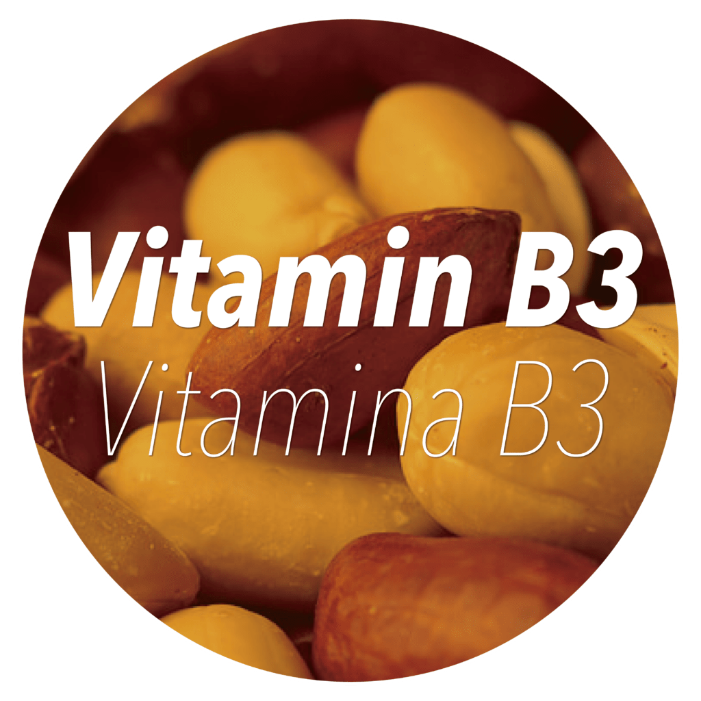 Vitamina b3