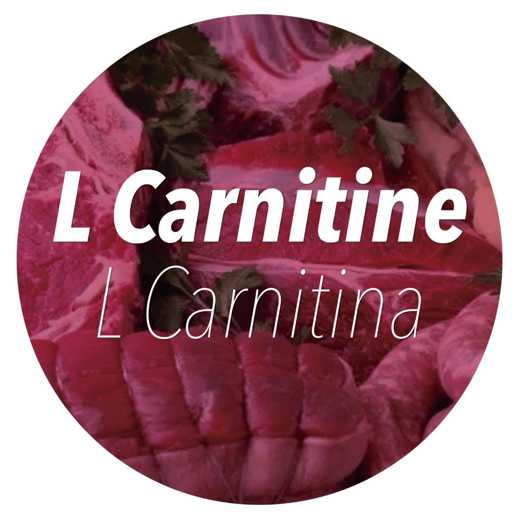 L Carnitina