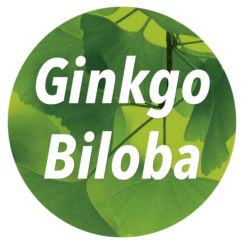 Ginkgo Biloba