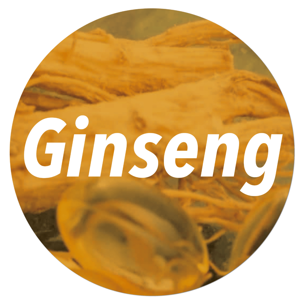 Ginseng